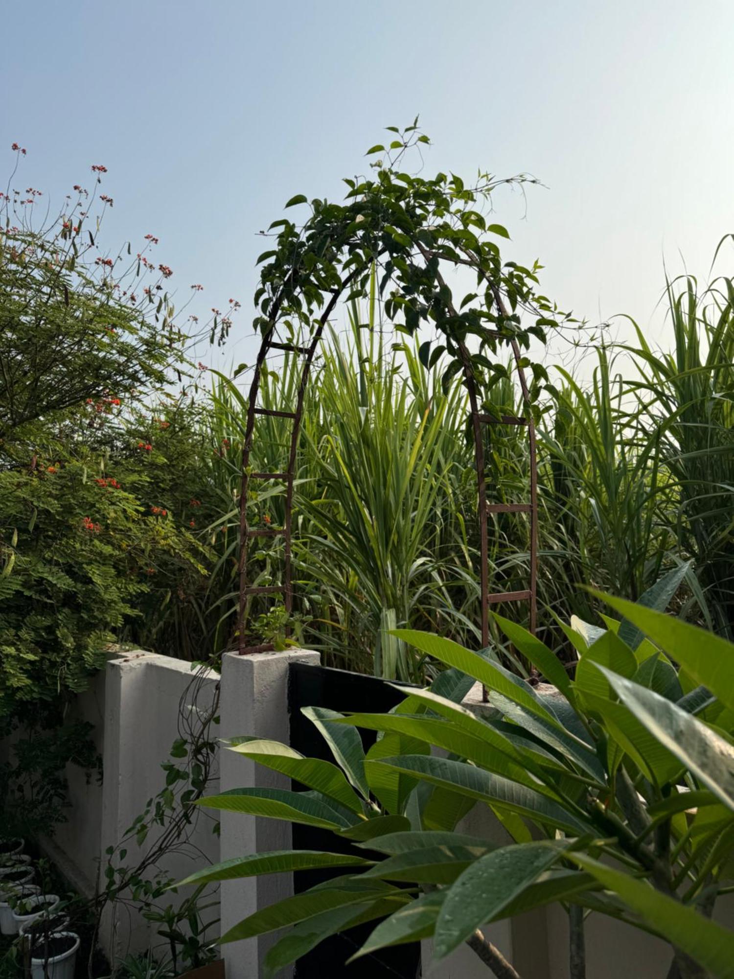 The Bougainvillea Cottage Farmstay Near Dehradun , 2 Bedroom Private Cottage Next To Fields And Orchards With Hill Views Exterior foto